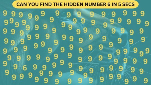 Puzzle CAN YOU FIND THE HIDDEN NUMBER 6 IN 5 SECS