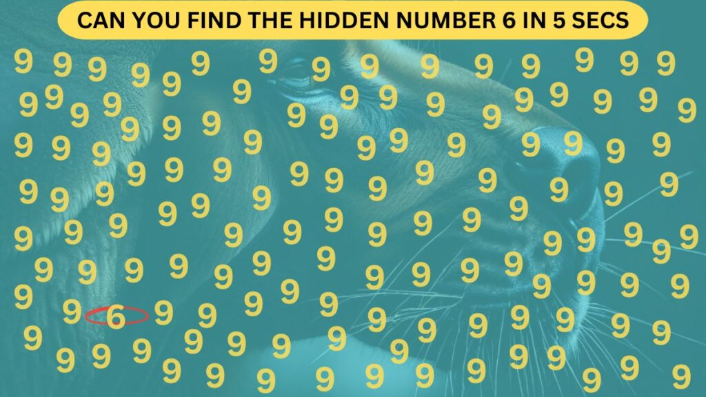 puzzle result CAN YOU FIND THE HIDDEN NUMBER 6 IN 5 SECS